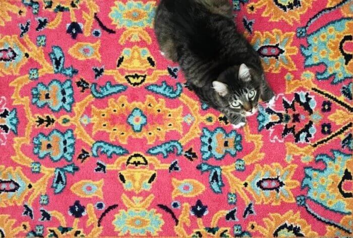colorful-rug