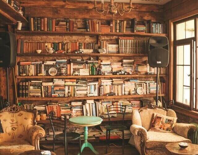 bookcase-log