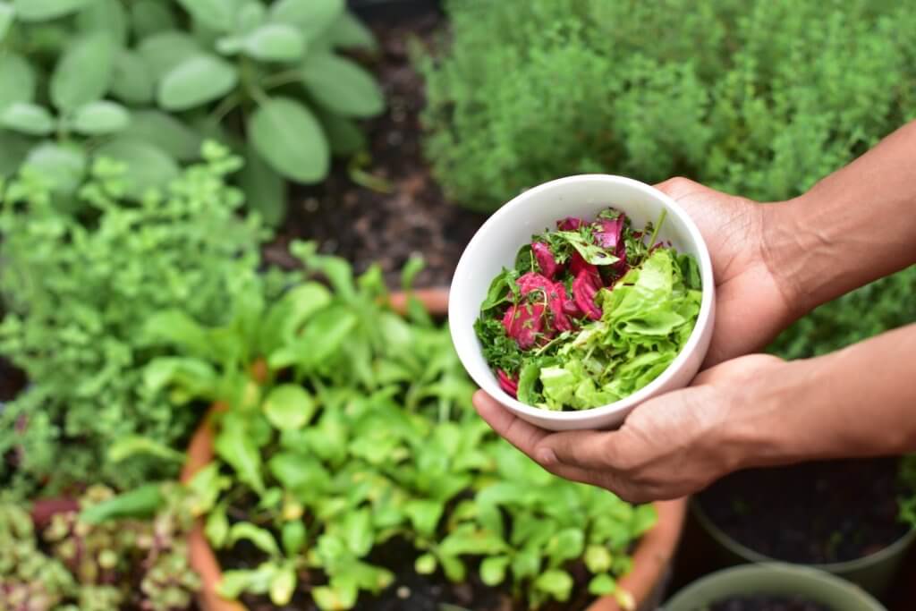 patio garden